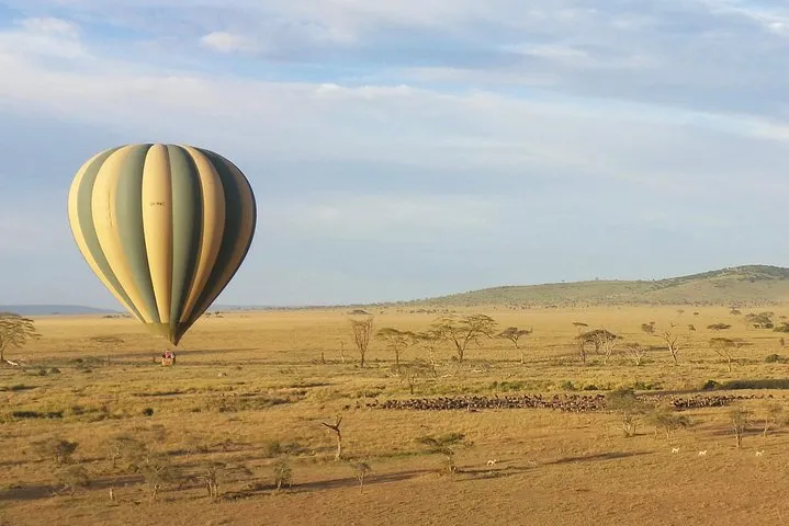 Hot air balloons rising over the plains on a Serengeti safari package balloon flight, Tanzania