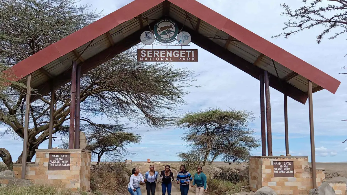Camping tents under the stars on a Serengeti safari package with a 4x4 Land Rover, Tanzania