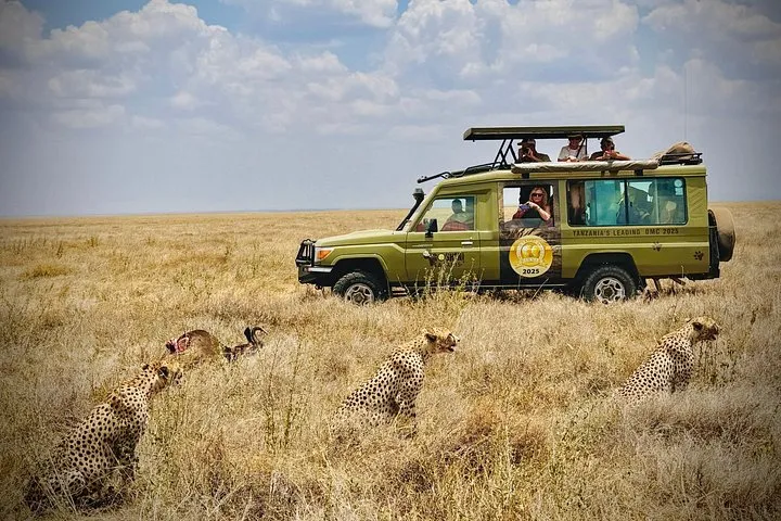 Private 4x4 with a pop-up roof near a lion on a Serengeti safari package, Tanzania