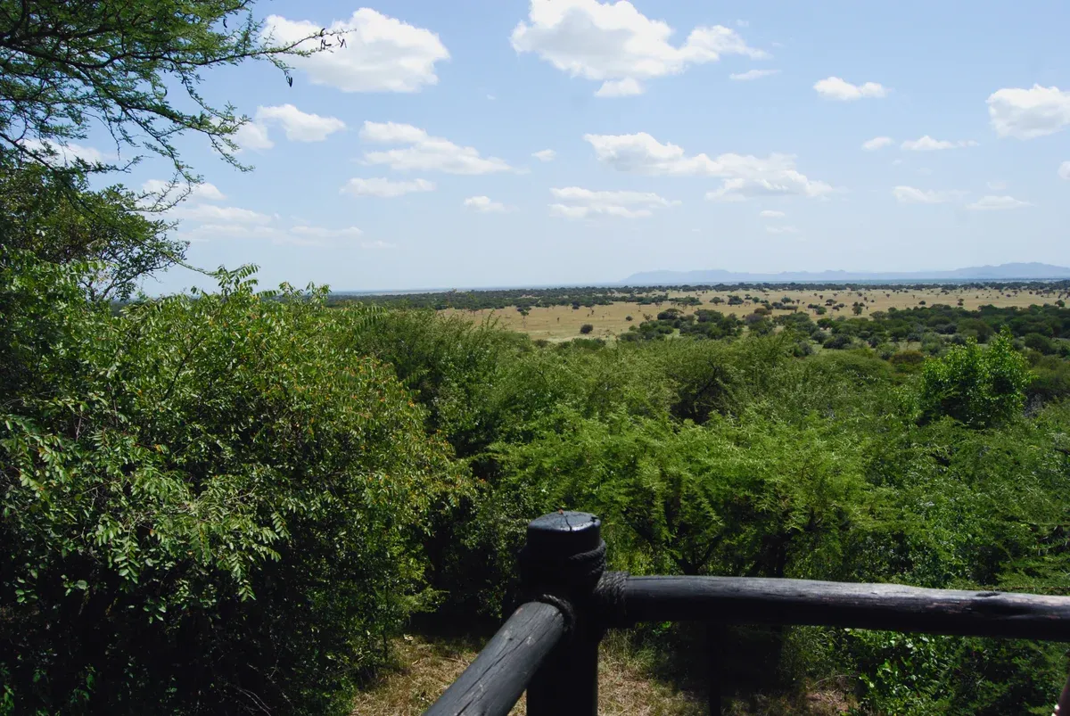 View over wooded Serengeti country from the porch of a tent at Kirawira Tented Camp, a style of stay on Serengeti safari packages