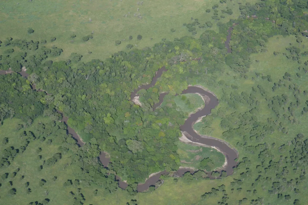 The Grumeti River winding through forest in the western Serengeti, seen from the air on Serengeti safari packages