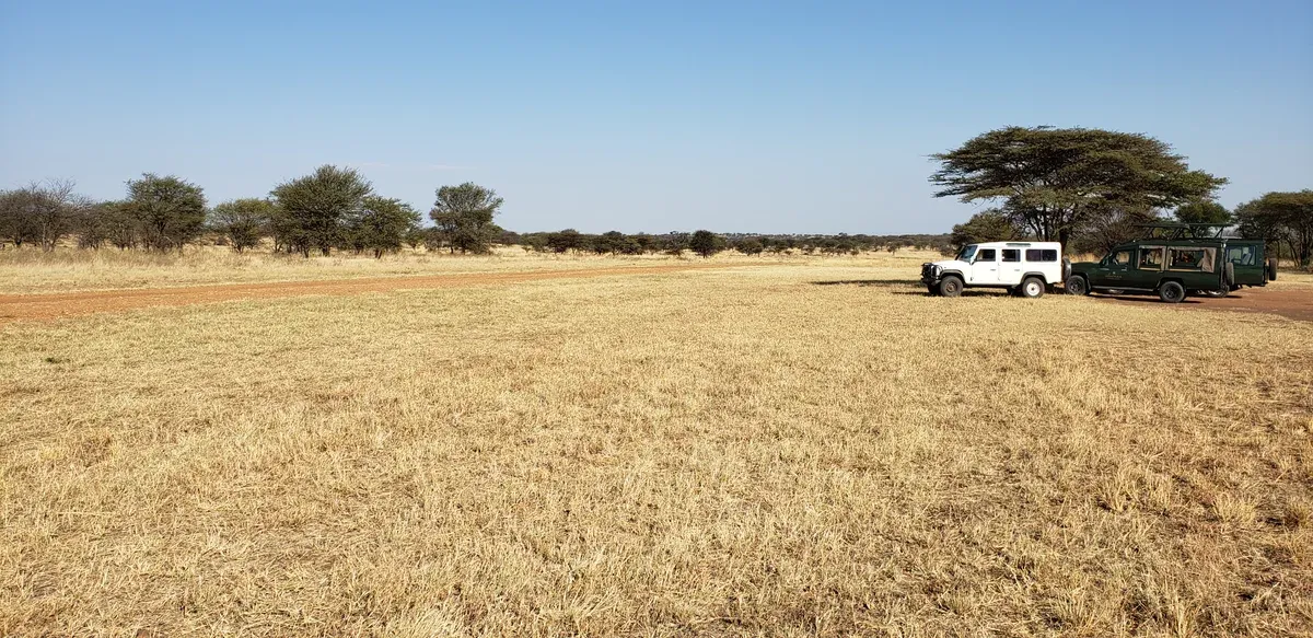 A safari vehicle parked beside a dry grass airstrip in the northern Serengeti, as used by fly-in Serengeti safari packages