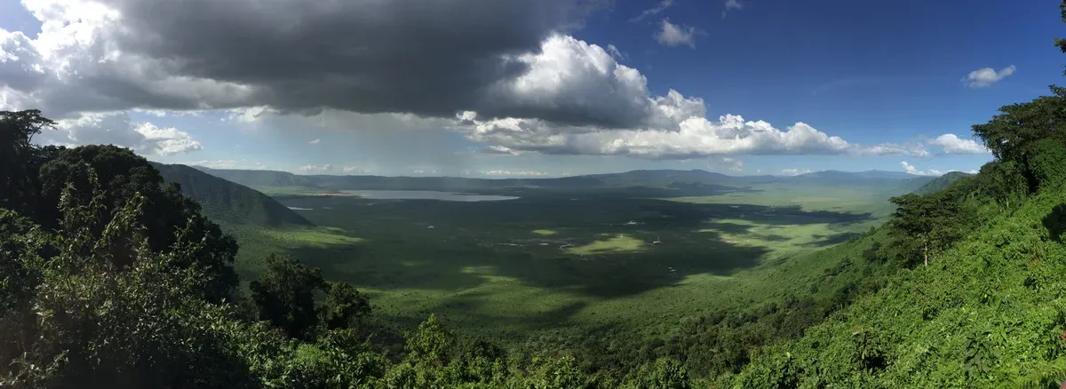 The Ngorongoro Crater floor and rim seen from above, the last stop on most Serengeti safari packages